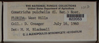 Image Associated With the Occurence